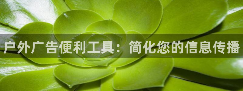 杏宇代理注册