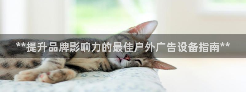 杏宇平台好吗