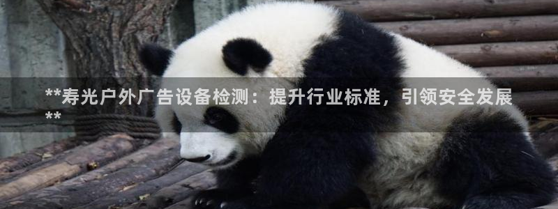 杏宇平台代理多少钱一次