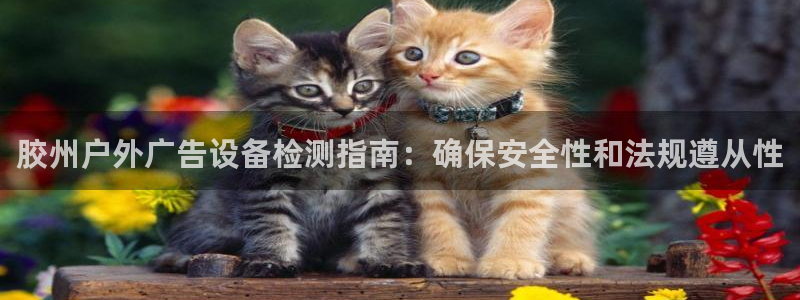 杏宇平台怎么样赚钱