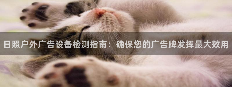 杏宇平台注册地址