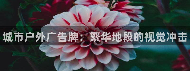 杏宇平台代理怎么样可靠吗