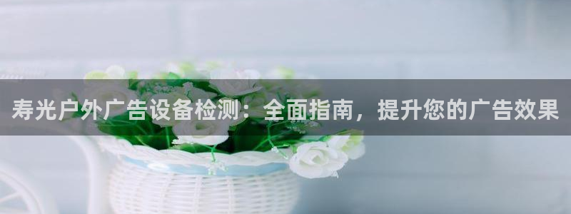 杏宇平台登录步骤