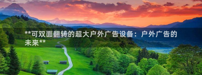 杏宇平台登录步骤图：**可双面翻转的超大
