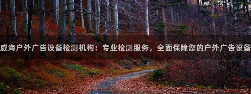 杏宇平台怎么样赚钱：威海户外广告设备检测