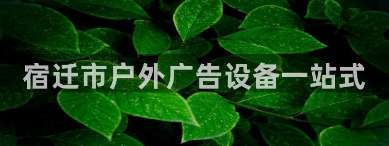 杏宇平台代理怎么赚钱的：宿迁市户外广告设