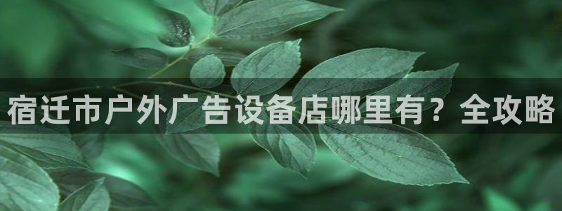 杏宇平台怎么样：宿迁市户外广告设备店哪里