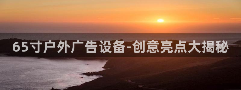 杏宇平台总代理是谁：65寸户外广告设备-