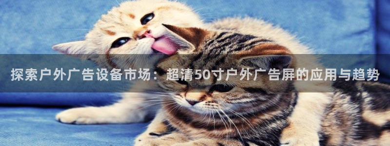 杏宇平台客服：探索户外广告设备市场：超清