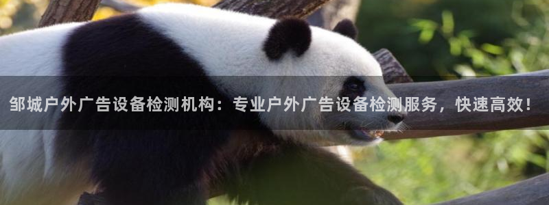 杏宇平台登录方法：邹城户外广告设备检测机