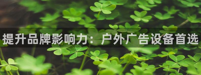 杏宇平台登录步骤：提升品牌影响力：户外广
